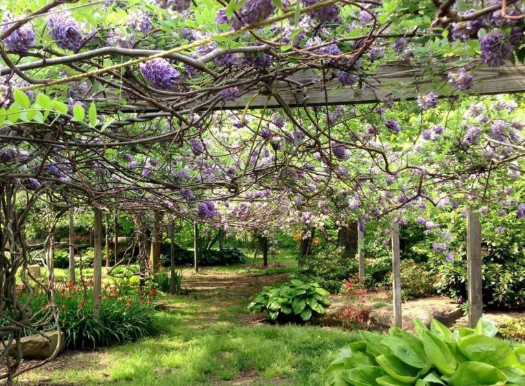 Western Kentucky Botanical Garden, United States